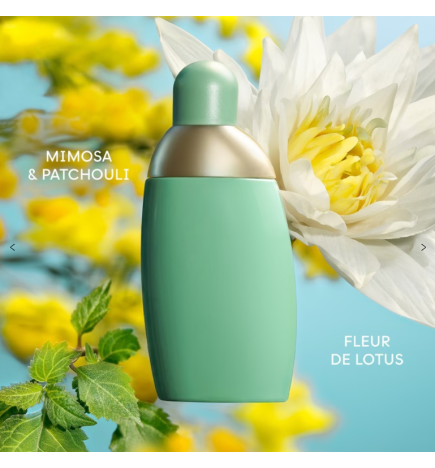 EDEN eau de parfum vaporisateur 50 ml