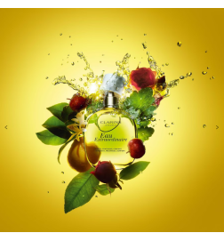 EAU EXTRAORDINAIRE vapo 100 ml