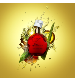 EAU DYNAMISANTE VAPO 100 ml