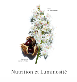 NUTRI LUMIERE NUIT ANTI AGE 50 ML