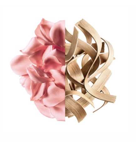 IRRESISTIBLE EDP ROSE VELVET VAPO 50 ML