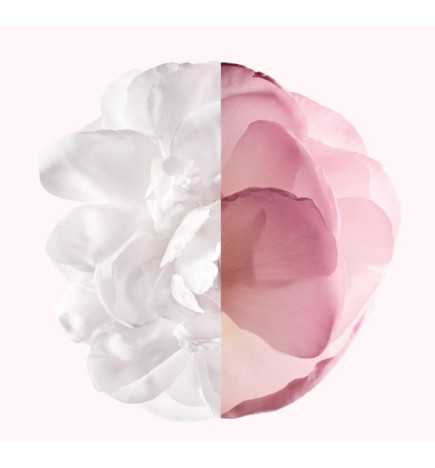IRRESISTIBLE EDP VERY FLORAL VAPO 80 ML