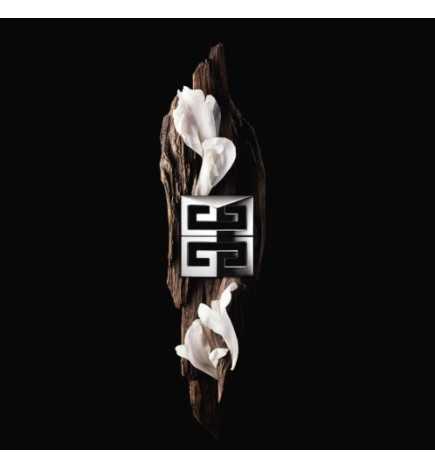 GENTLEMAN SOCIETY EDP VAPO 60 ML