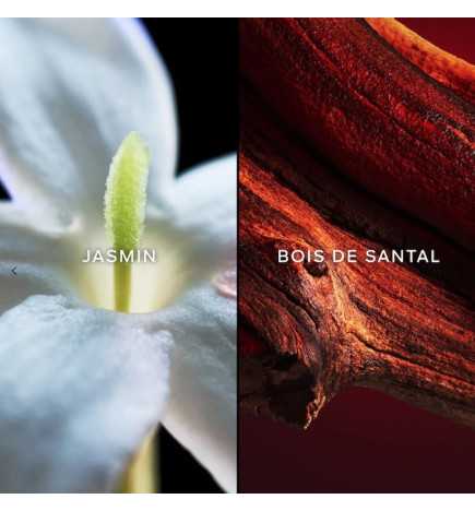 SAMSARA EDP VAPO 75 ML