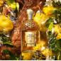AQUA ALLEGORIA FORTE OUD YUZO edp vapo 125 ml