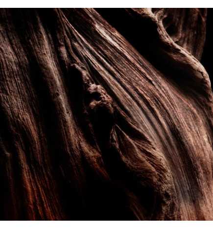 ABSOLUS ALLEGORIA OUD ESSENTIEL 100 ML