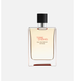 TERRE D'HERMLES EDP INTENSE VAPO 100 ML